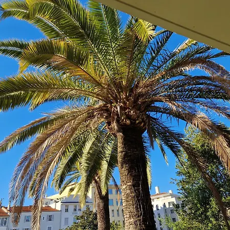 Centre Beau Deux Pièces Près De à Pied Cannes